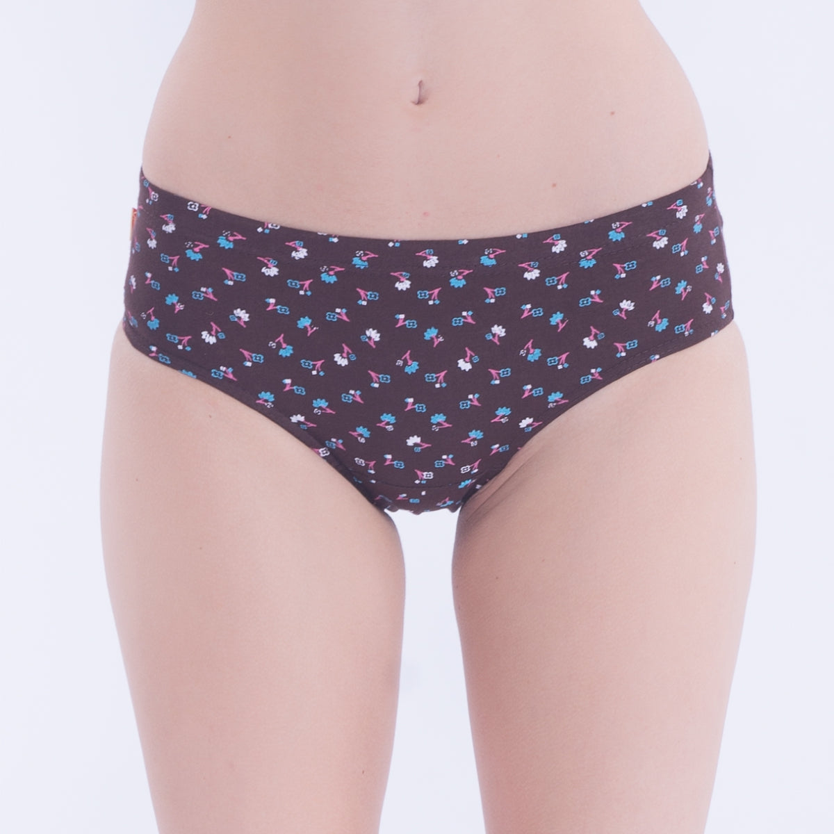 Ladies Panties Kavery print (Inner Elastic) - 1 Pcs Pack