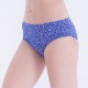 Girls Panties Krish (Inner Elastic) - 1 Pcs Pack